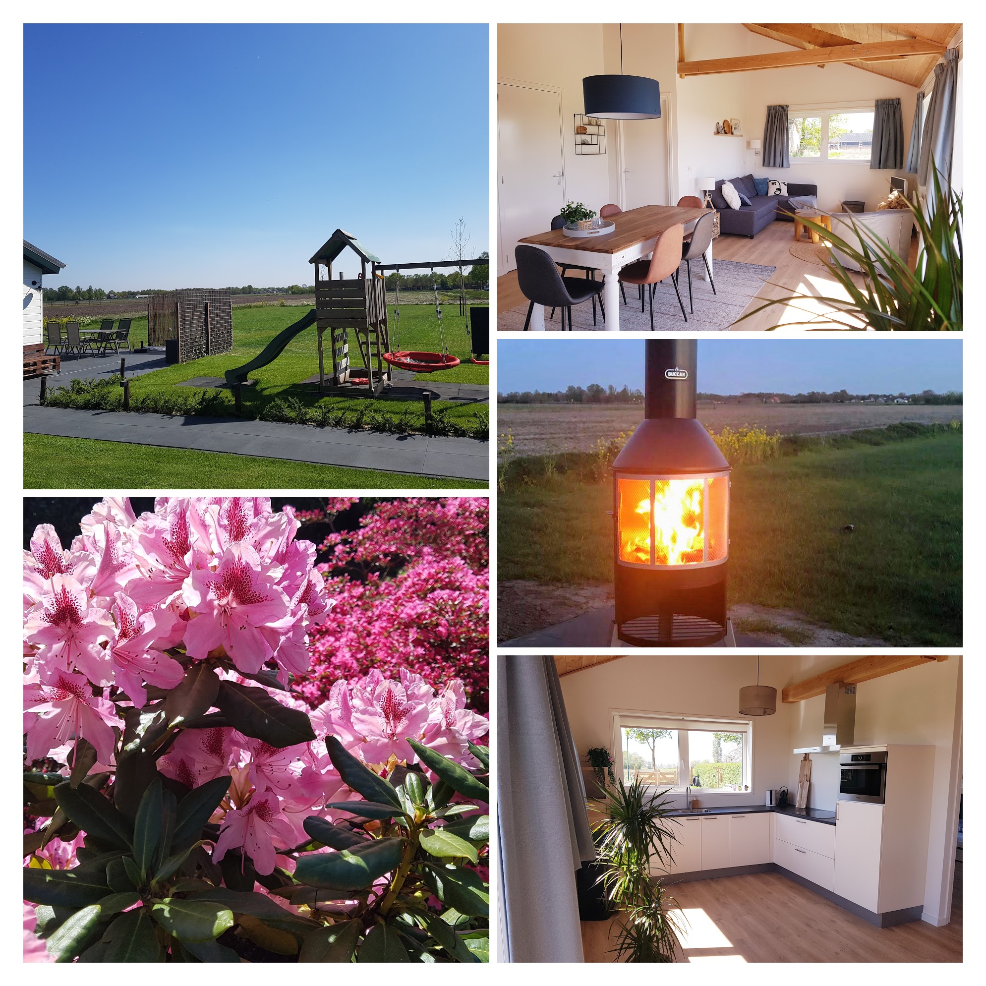 20200420_144531-COLLAGE